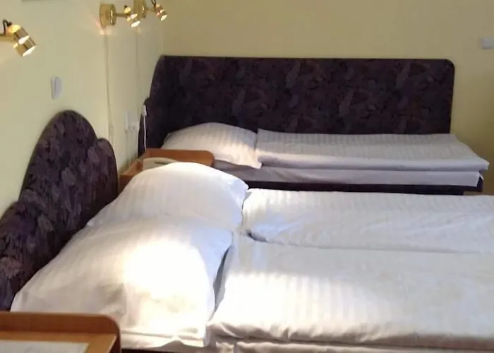 מלון York פלזן